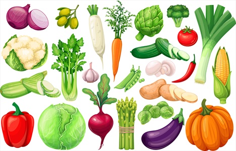 وکتور سبزیجات با کیفیت به صورت جدا