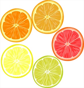 وکتور پرتقال و لیمو های مختلف برش خورده