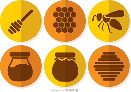 وکتور  ابزار های عسل همراه با زنبور