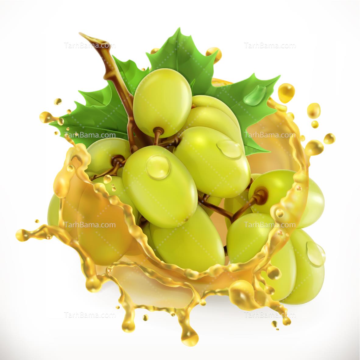 وکتور میوه و آبمیوه