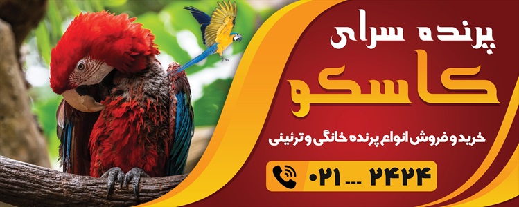 بنر پرنده سرا، حیوانات خانگی و آکواریوم