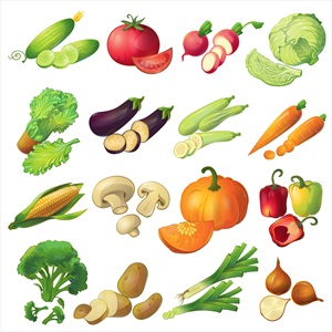 وکتور سبزیجات متنوع