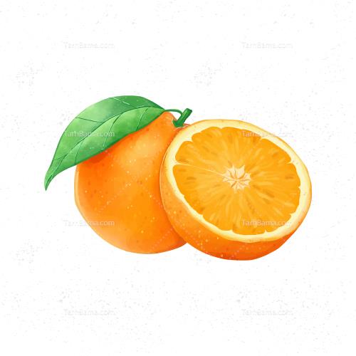 وکتور میوه و آبمیوه
