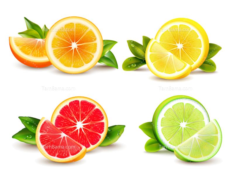 وکتور میوه و آبمیوه
