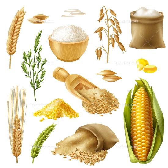 سایر وکتور مواد غذایی