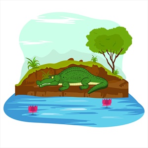 وکتور تمساح کنار آب