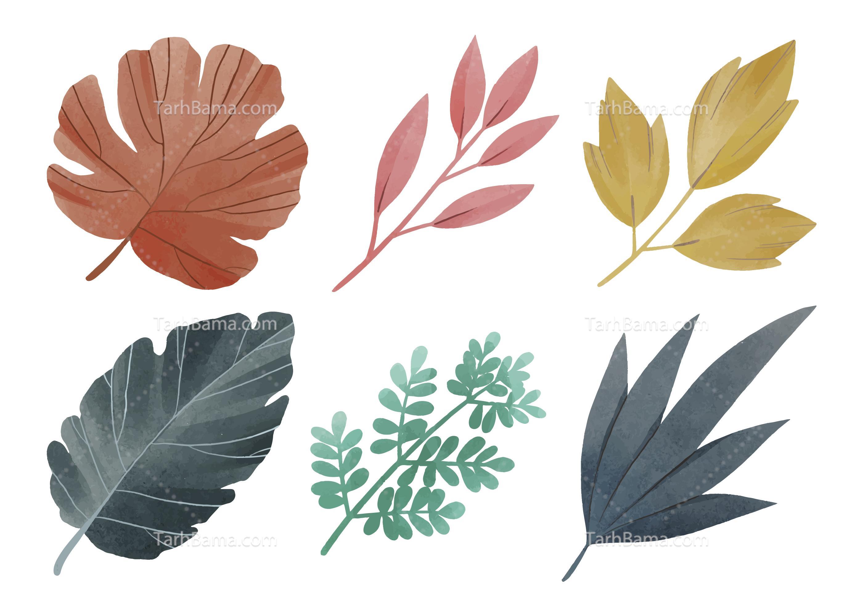 وکتور گل و گیاه