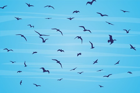 وکتور پرندگان مشکی در حال پرواز