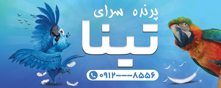 بنر پرنده سرا، حیوانات خانگی و آکواریوم