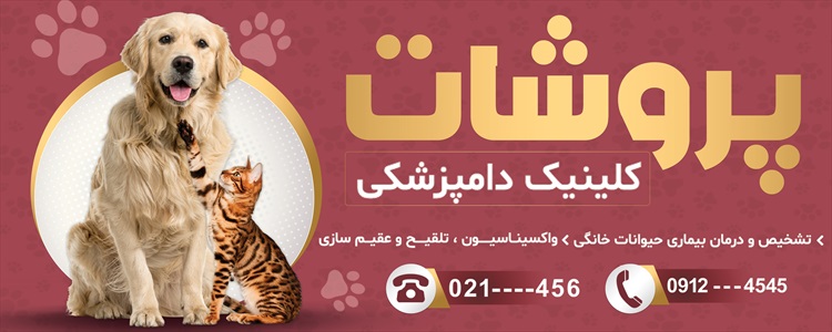 بنر دامپزشک